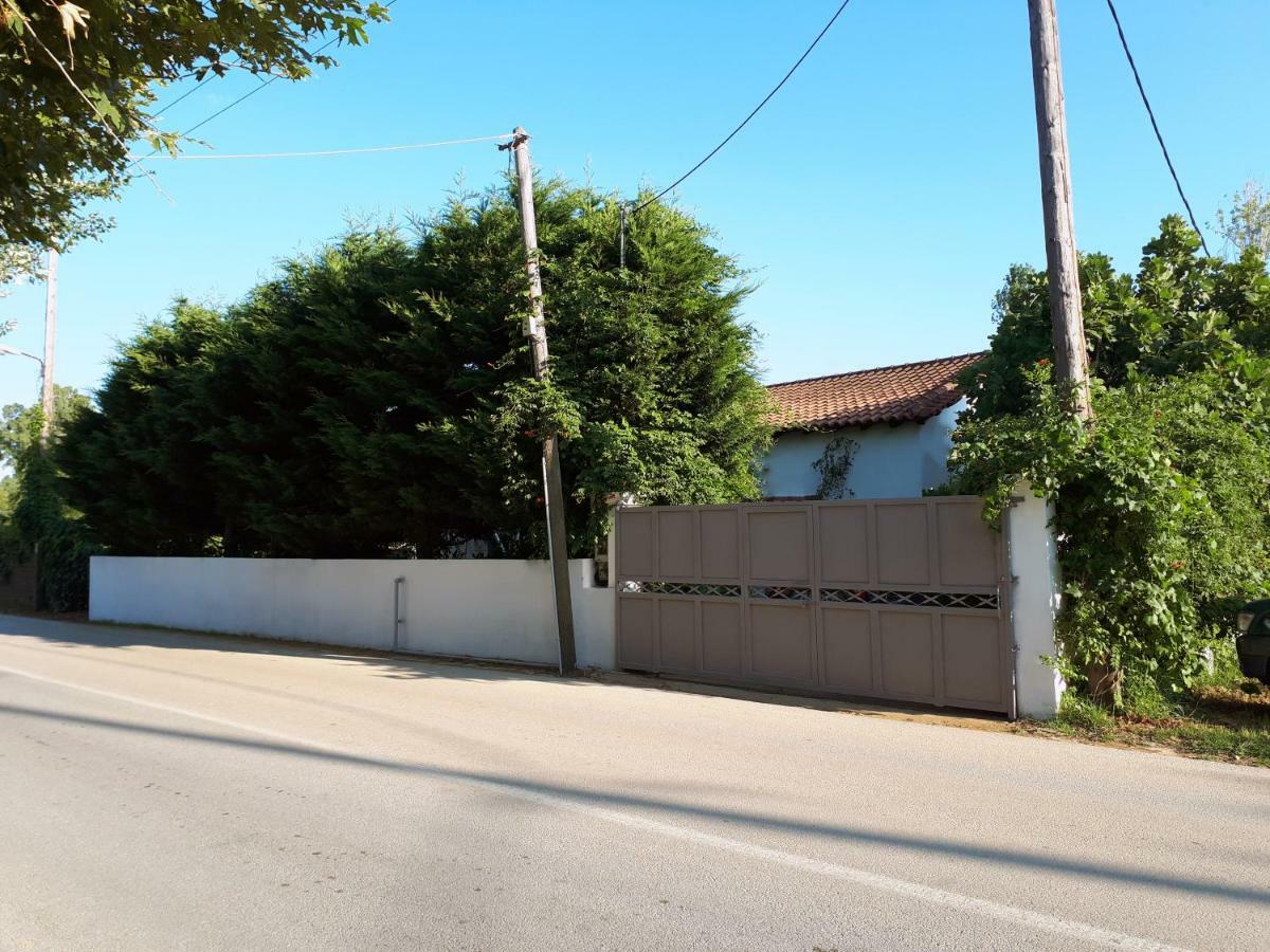 Ckiathi - Ckiaθi - Ps Rental Agia Paraskevi  Buitenkant foto